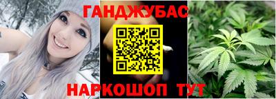 гидра Дмитров