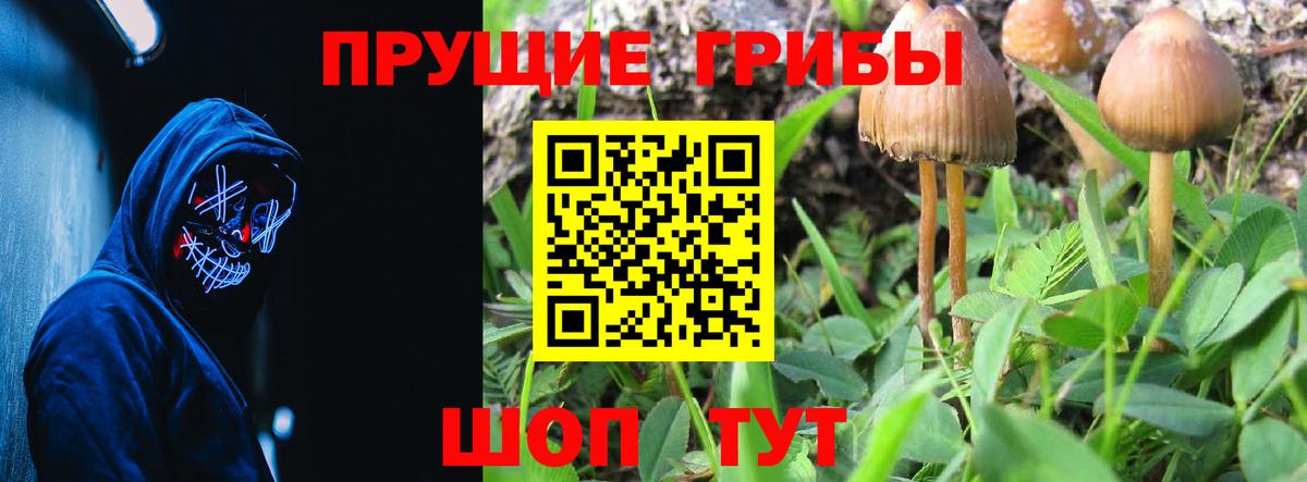 Псилоцибиновые грибы Psilocybe  Псилоцибиновые грибы MAGIC MUSHROOMS  Вход с VPN  Лангепас 